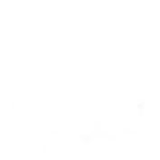 PISTOLA DE CO2: PISTOLA DE CO2:
